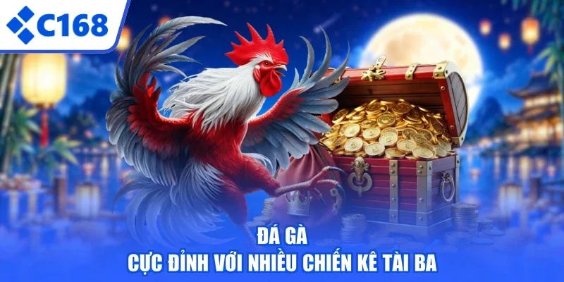 Đá gà cực đỉnh với nhiều chiến kê tài ba
