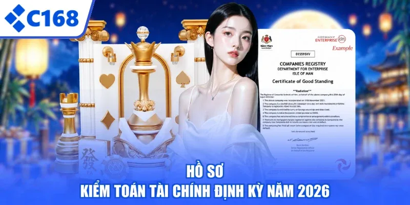 Hồ sơ kiểm toán tài chính định kỳ năm 2026