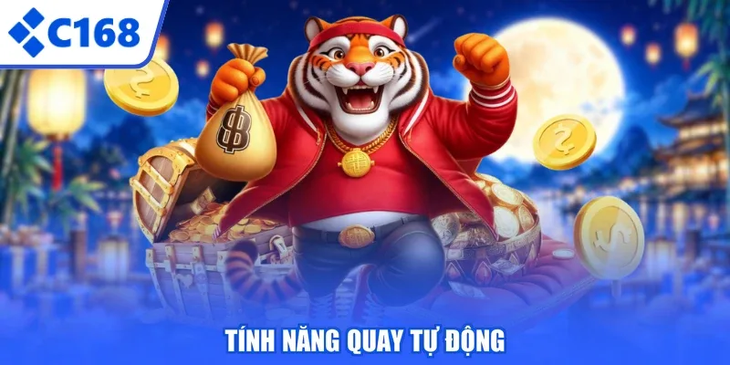 Tính năng quay tự động